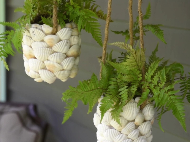 Summer Craft: DIY Seashell Hanging Planter